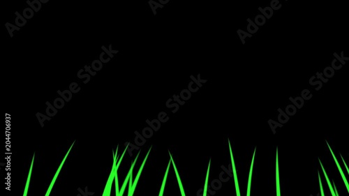 Grass blades emerge from the bottom edge against a deep black backdrop providing a high contrast composition.