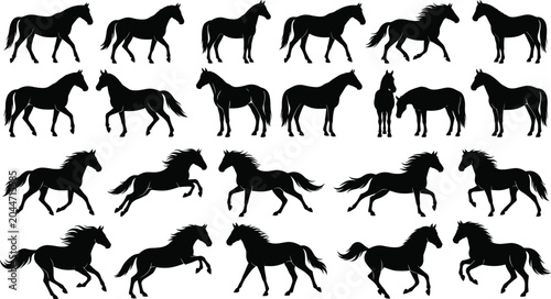 Photos Horse Silhouette Vector Collection with Running Walking Standing and Galloping E