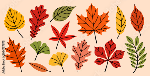 Schilderij op canvas Set of assorted autumn leaves including maple, oak, horse chestnut, birch, ginkgo and ash