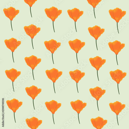 Εκτύπωση καμβά seamless pattern, orange lili, orange flowers