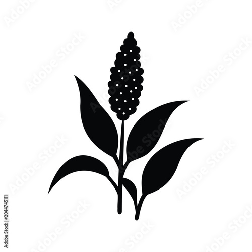 Cuadro en lienzo Silhouette of sorghum plant with ripe seeds minimalist black and white vector il
