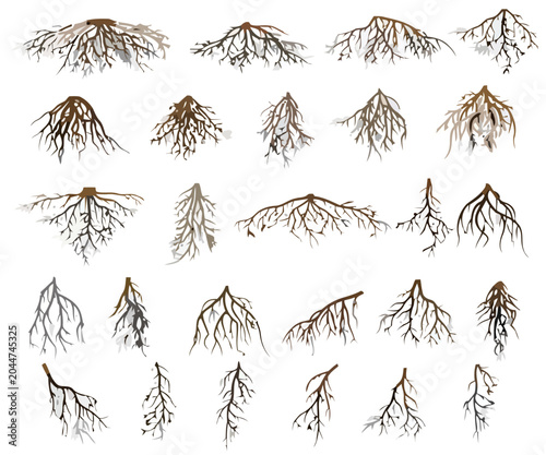 Tree Root Structures Collection, Isolated on White