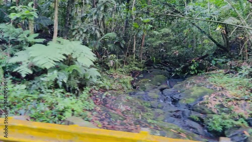The El Yunque National Park in Puerto Rico is a beautiful rainforest with waterfalls and hiking trails.
