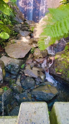The El Yunque National Park in Puerto Rico is a beautiful rainforest with waterfalls and hiking trails.