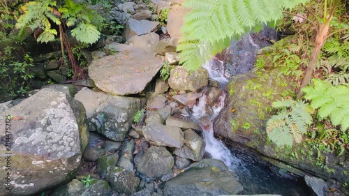 The El Yunque National Park in Puerto Rico is a beautiful rainforest with waterfalls and hiking trails.