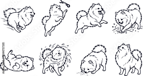 Konstfotografi Energetic pomeranian dog playing and running illustrations vector set