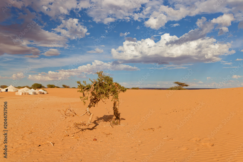 Φωτογραφία Landscape near the nomadic village of Al Bayyedh, Mauritania