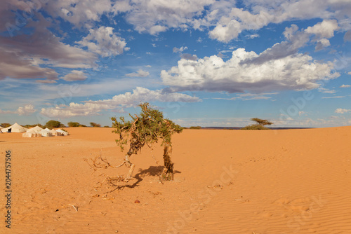 Fotografija Landscape near the nomadic village of Al Bayyedh, Mauritania