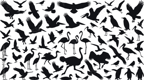Foto Black bird silhouettes, flying eagles, flamingos, penguins, ostriches, pelicans, herons, pigeons, ducks, wild wings, exotic nature icons, predatory avian collection, poultry shapes