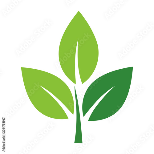 Green leaf icon with flat design style