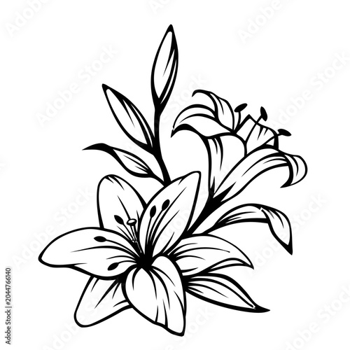 Lily Flowers Line Art Outline, Floral Arrangement