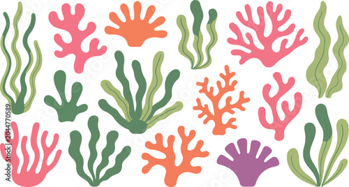 Collection of colorful coral and seaweed vector illustrations showing underwater marine plants isolated on white background for design use