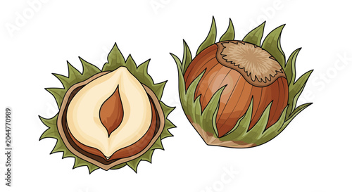 Foto Realistic hazelnut illustration showing the whole nut inside its green leafy husk and a half cut version revealing the kernel