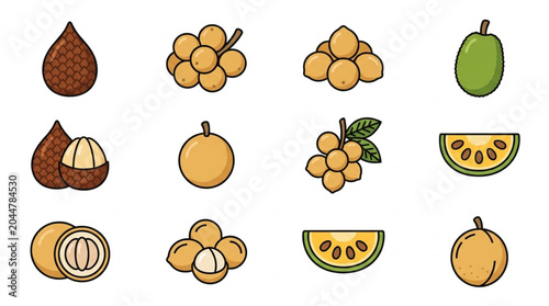Konstfotografi Collection of Exotic Tropical Fruits Vector Icons.