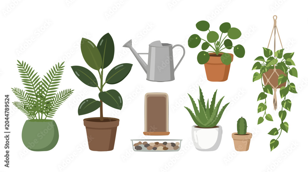 Fototapeta premium Collection of various potted houseplants and gardening equipment.