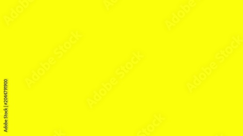 House Location Pointer Illustration animation with Green background
