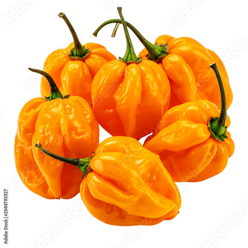 Orange Habanero Peppers isolated on white background