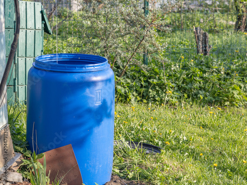 Large blue plastic barrel used for collecting rainwater in a garden setting