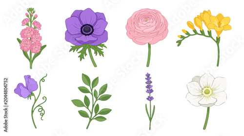 Collection of beautiful hand drawn spring flowers and botanical elements.