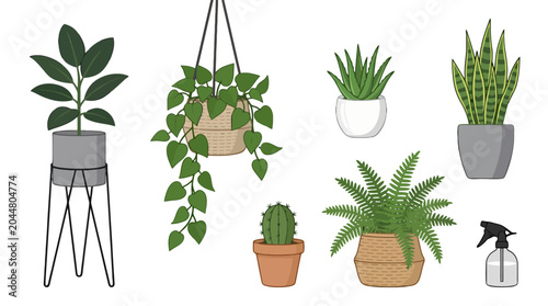 Collection of decorative house plants in various pots and planters.