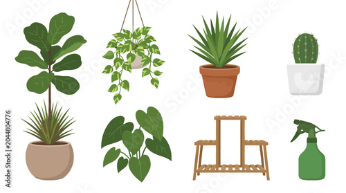 Collection of decorative house plants and gardening accessories.