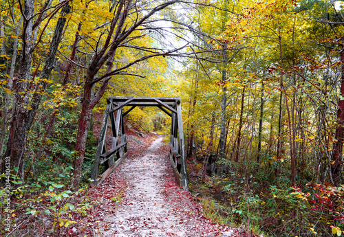 Cuadro en lienzo bridge in autumn on an appalachian hiking trail