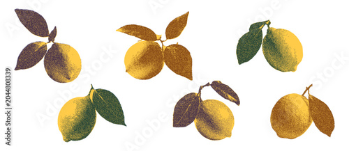 Slika na platnu Lemon citrus photocopy art collage cut outs set