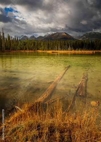 Konstfotografi Clear lake water showing submerged logs and mountains