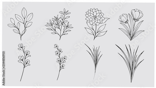 Foto five distinct small bouquets line art flowers