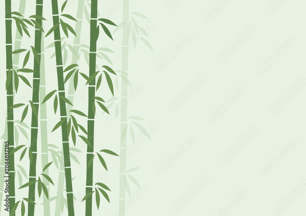 Fototapeta premium Japanese Bamboo Forest Background with Copy Space