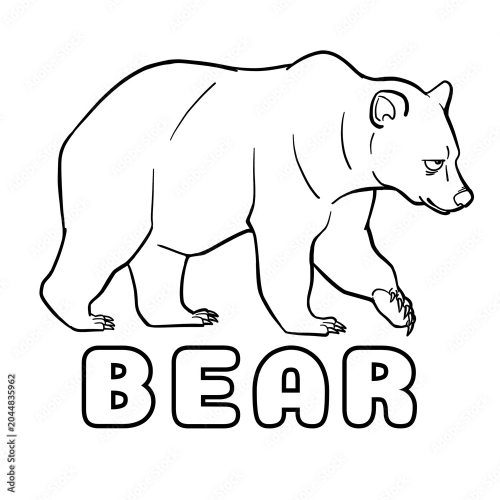 Fototapeta premium polar bear vector illustration