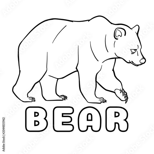 polar bear vector illustration