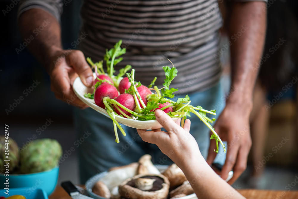 Obraz premium Fresh radishes shared between hands.