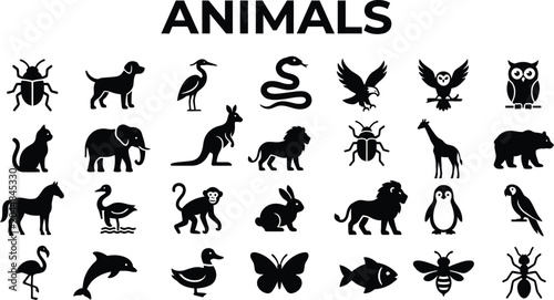 Photography Animal Silhouettes Vector Illustration Black On White Background