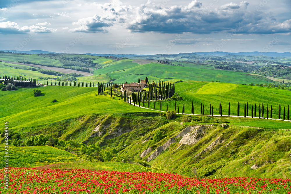 Fototapeta premium Beautiful Tuscany landscape view in Italy 