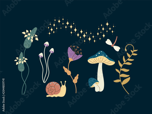 Photos Whimsical plants of the magic forest. Set. Vector image.