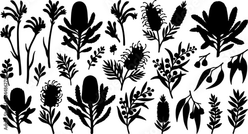 Australian Native Flora Botanical Black Silhouette Set Vector Nature Illustration Clipart