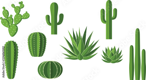 Foto Cactus and Succulent Vector Icon Set with Prickly Pear Saguaro Barrel Agave and
