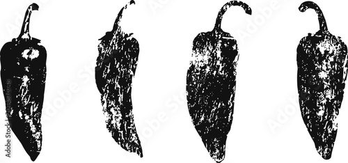 Four hand drawn chili peppers in vintage black ink isolated on white background