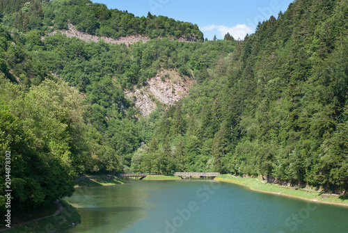 paesaggio di montagna in primavera