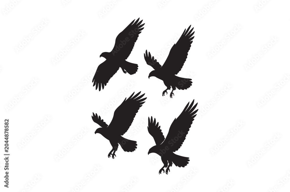 Fototapeta premium Eagle silhouettes in flight against a white background