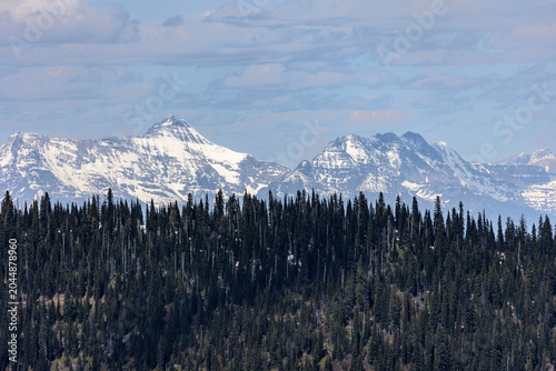 Beautiful Summer Landscape in Flathead Valley Montana, Whitefish, Kalispell, Columbia Falls Mountains