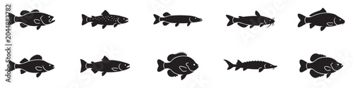 Photos Fish icon set