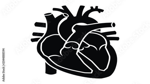 Photos Human heart anatomy is represented by a solid black icon showing the major chambers and vessels for biological education