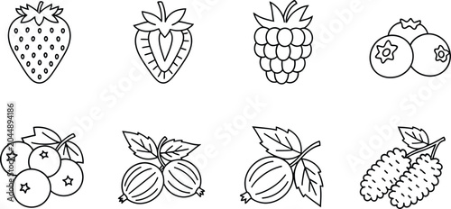 Set of fresh berries and summer fruits in simple black and white line art drawing style