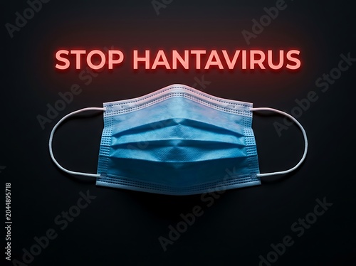 Blue surgical face mask with stop hantavirus text