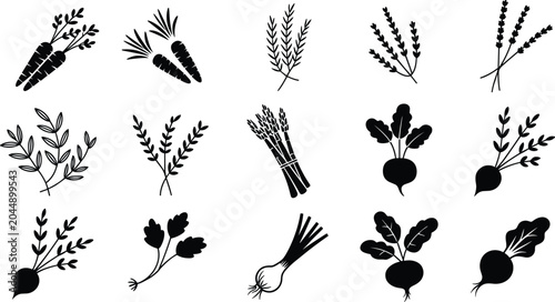 Bild auf Leinwand Collection of Black and White Vegetable and Herb Icons on White Background carro