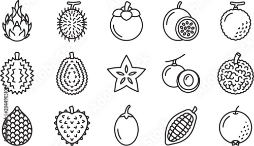 Tropical exotic fruits thin line icon set minimal black linear vector outline symbols of asian organic food healthy collection