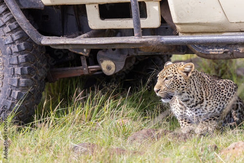 Foto Purring Engine