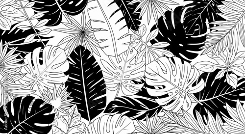 Tropical leaves in black and white.